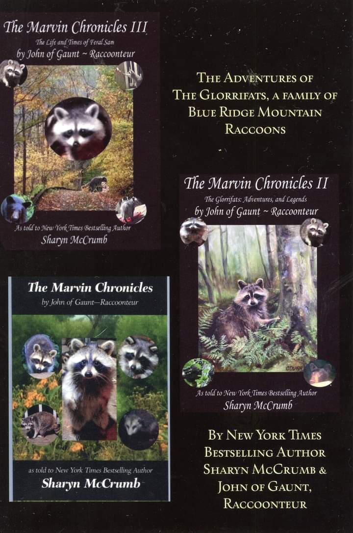 Marvin3 cover